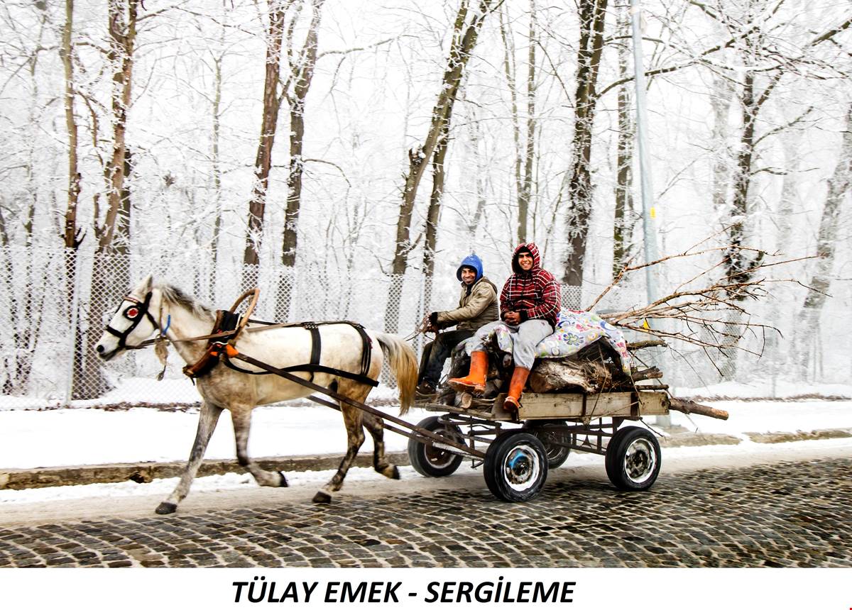 "Edirne'de Kar" Fotoğraf Yarışması - Kazanan Fotoğraflar 1
