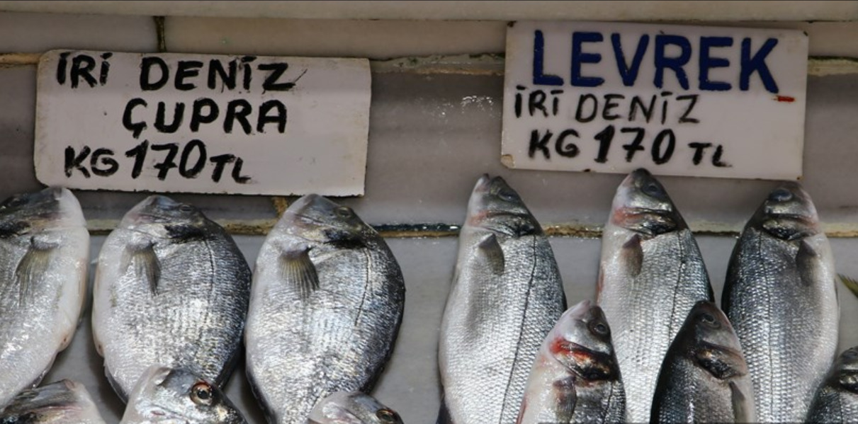 Tekirdağ'da Balık Fiyatları Zamlandı