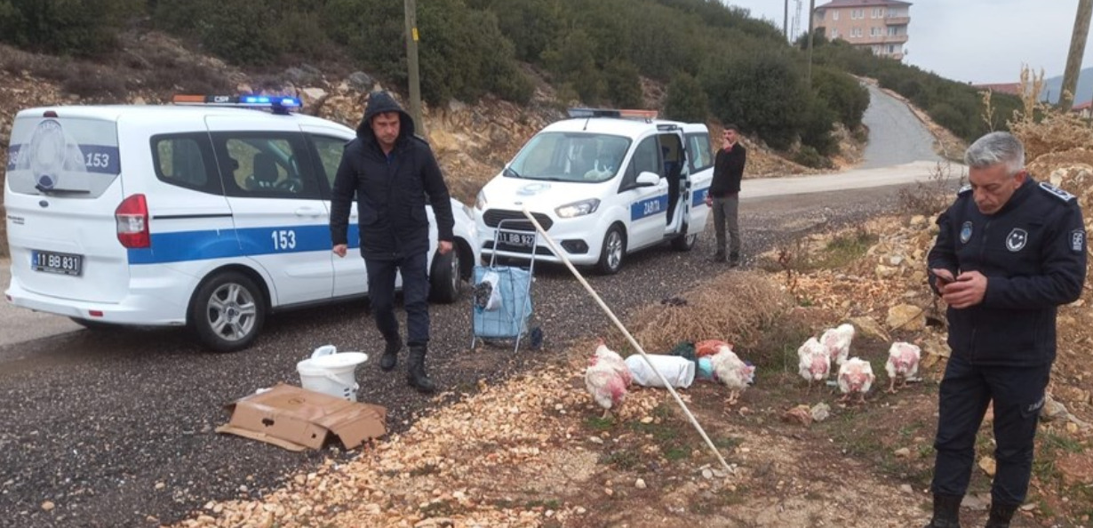 Uygunsuz Kanatlı Hayvan Satışı ve Kesimi Yapan Kişiye Ceza!