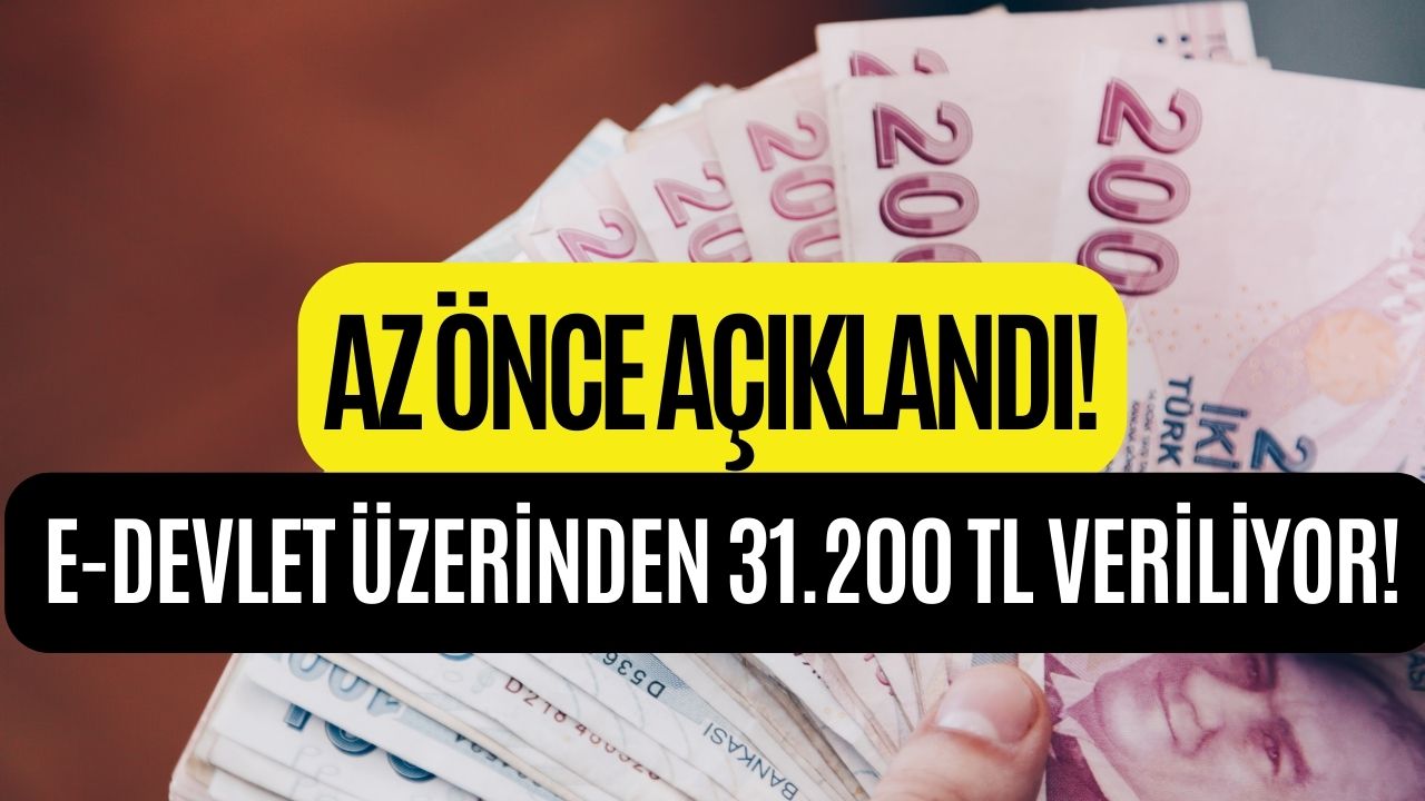 Az Önce Açıklandı! e-Devlet Üzerinden Başvuru Yaparak Kefilsiz, Faizsiz 31.200 TL Alabilirsiniz