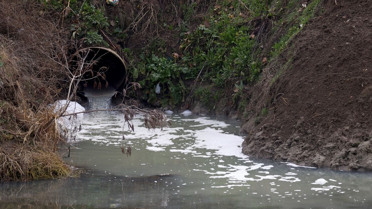 Tunca Nehri'nde Yeni Kriz: Evsel Atık Su Salınımı Çevrecileri Harekete Geçirdi