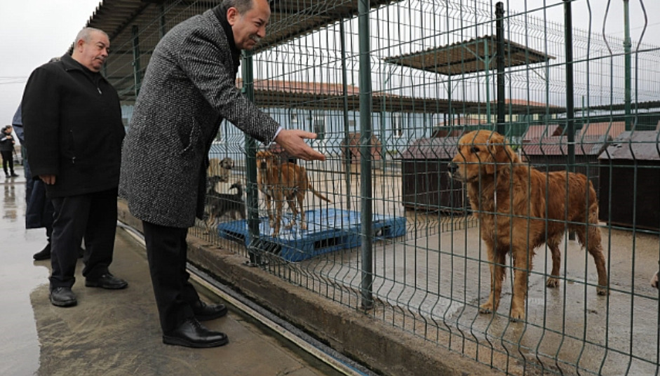 Başkan Gürkan'ın Sahiplendiği Köpeğin İsmi Belli Oldu