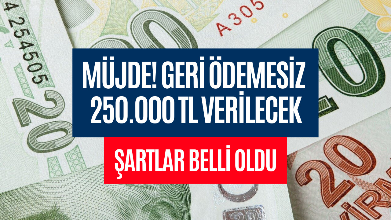 Bu İşi Yapanlar Yaşadı! Devlet Geri Ödemesiz 250 Bin TL Verecek