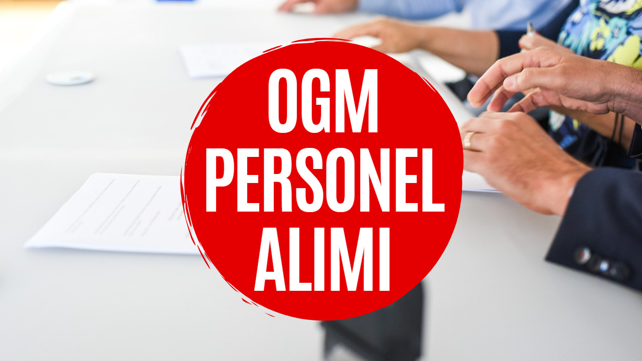 OGM Personel Alımı Başvuruları Başlıyor! Orman Genel Müdürlüğü Personel Alımı Kadro Branş Dağılımı