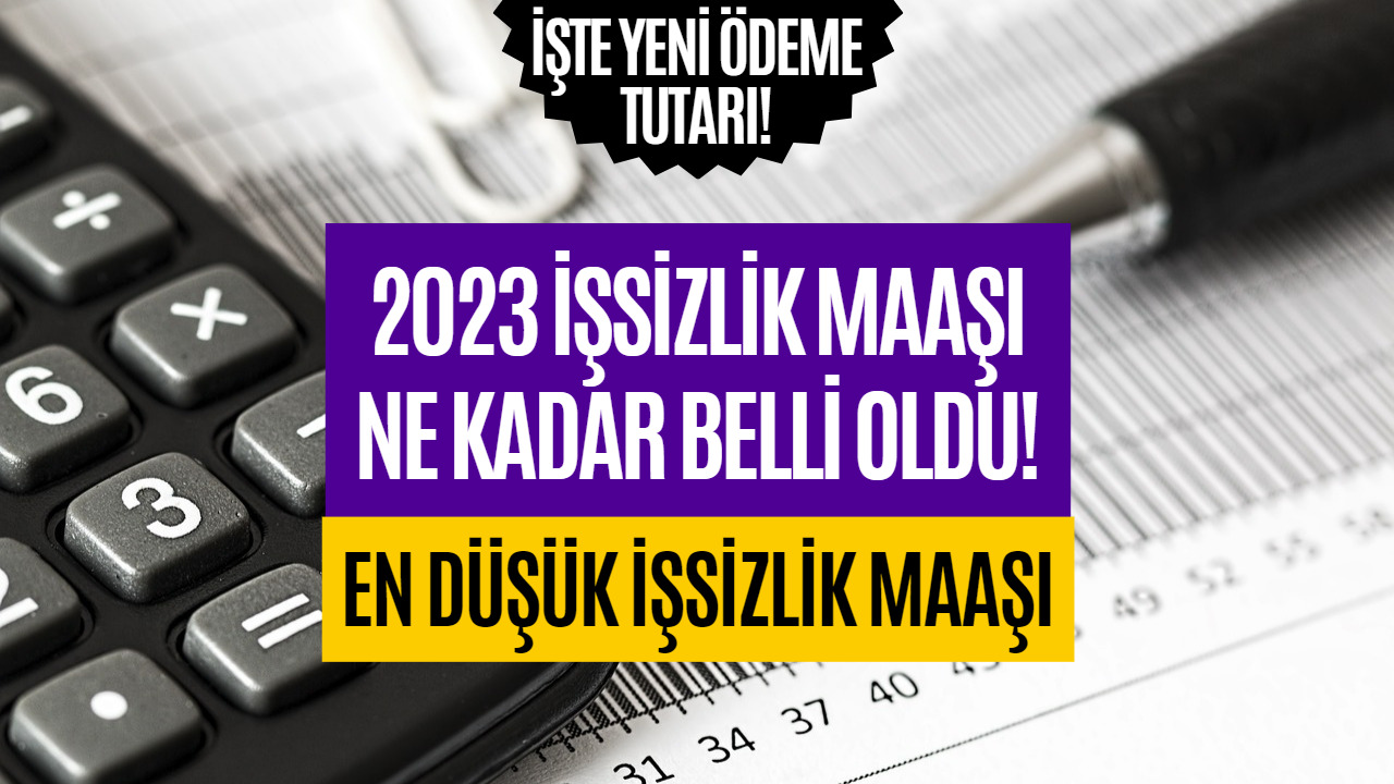 En Düşük İşsizlik Maaşı Belli Oldu! 2023 İşsizlik Maaşı Ne Kadar?