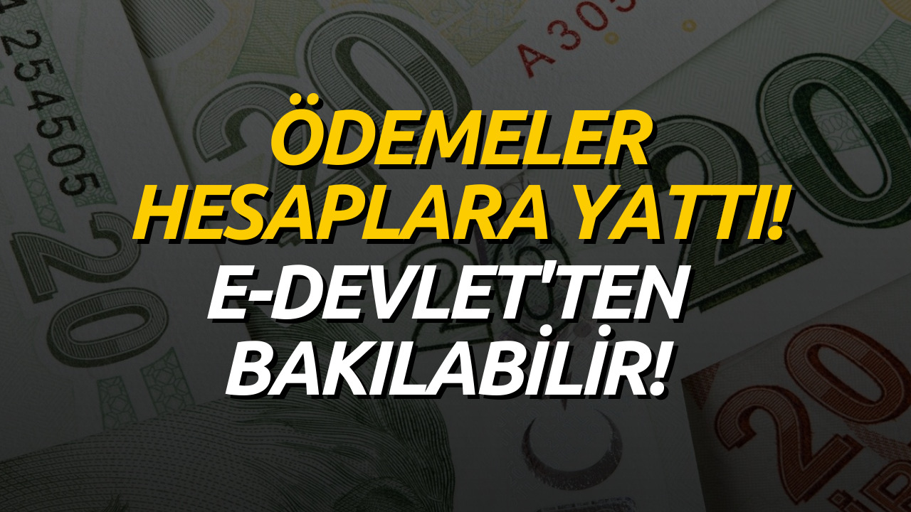 e-Devlet'te Para İadeleri Veriliyor! Devletten Paranızı Almayı Sakın Unutmayın