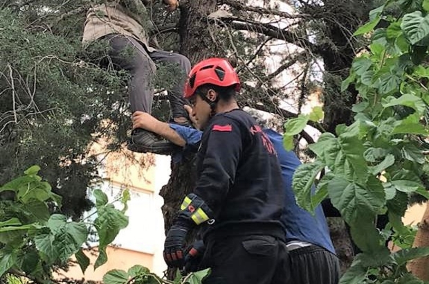 Bir Vatandaş Budamak İçin Çıktığı Ağaçta Fenalaştı