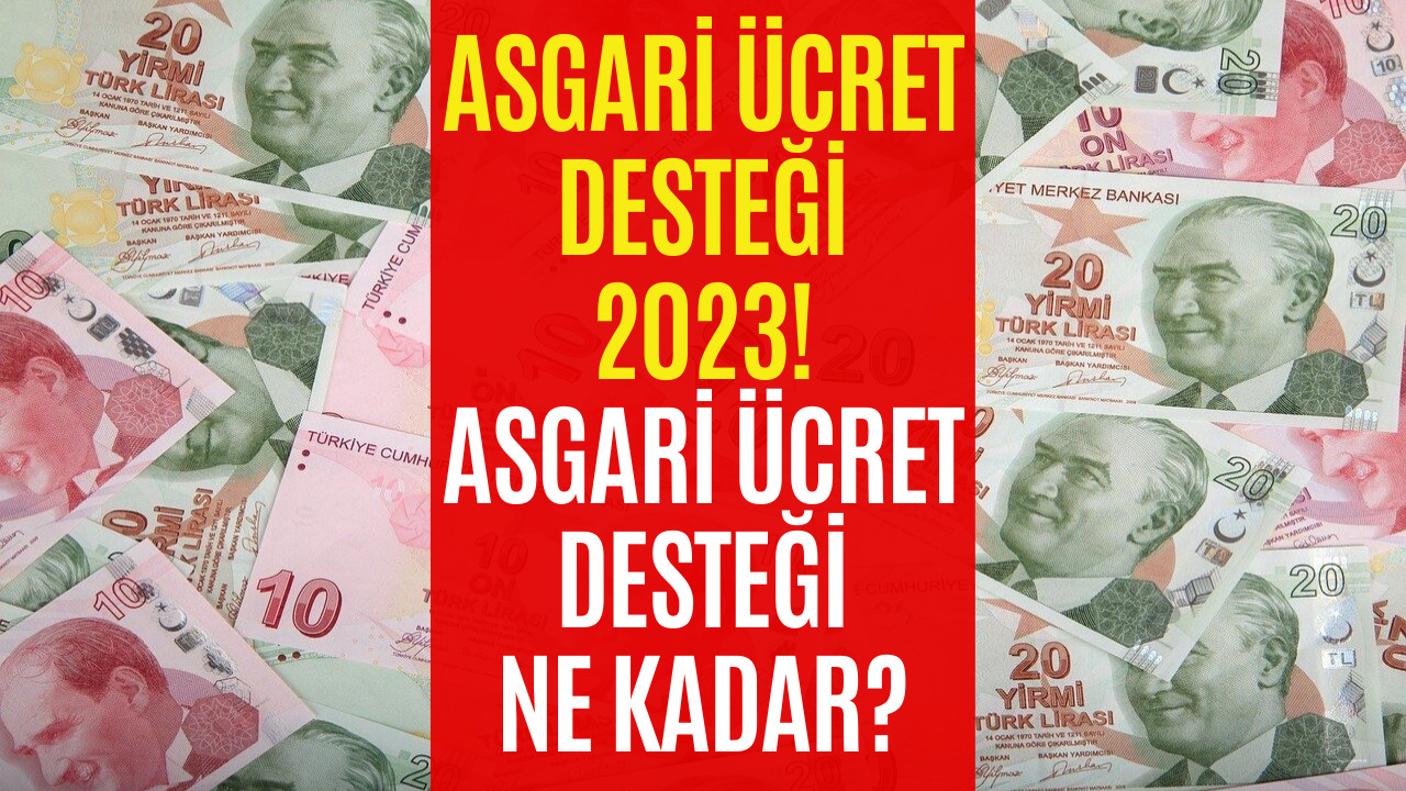 Asgari Ücret Desteği Belli Oldu! 2023 Asgari Ücret Desteği Ne Kadar?