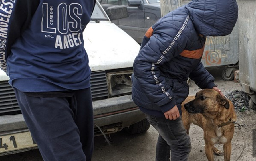 Keşan'da Korkunç Yangın! Zavallı Köpek Kurtarıldı