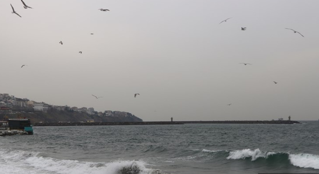 Tekirdağ'daki Deniz Ulaşımına Poyraz Engeli