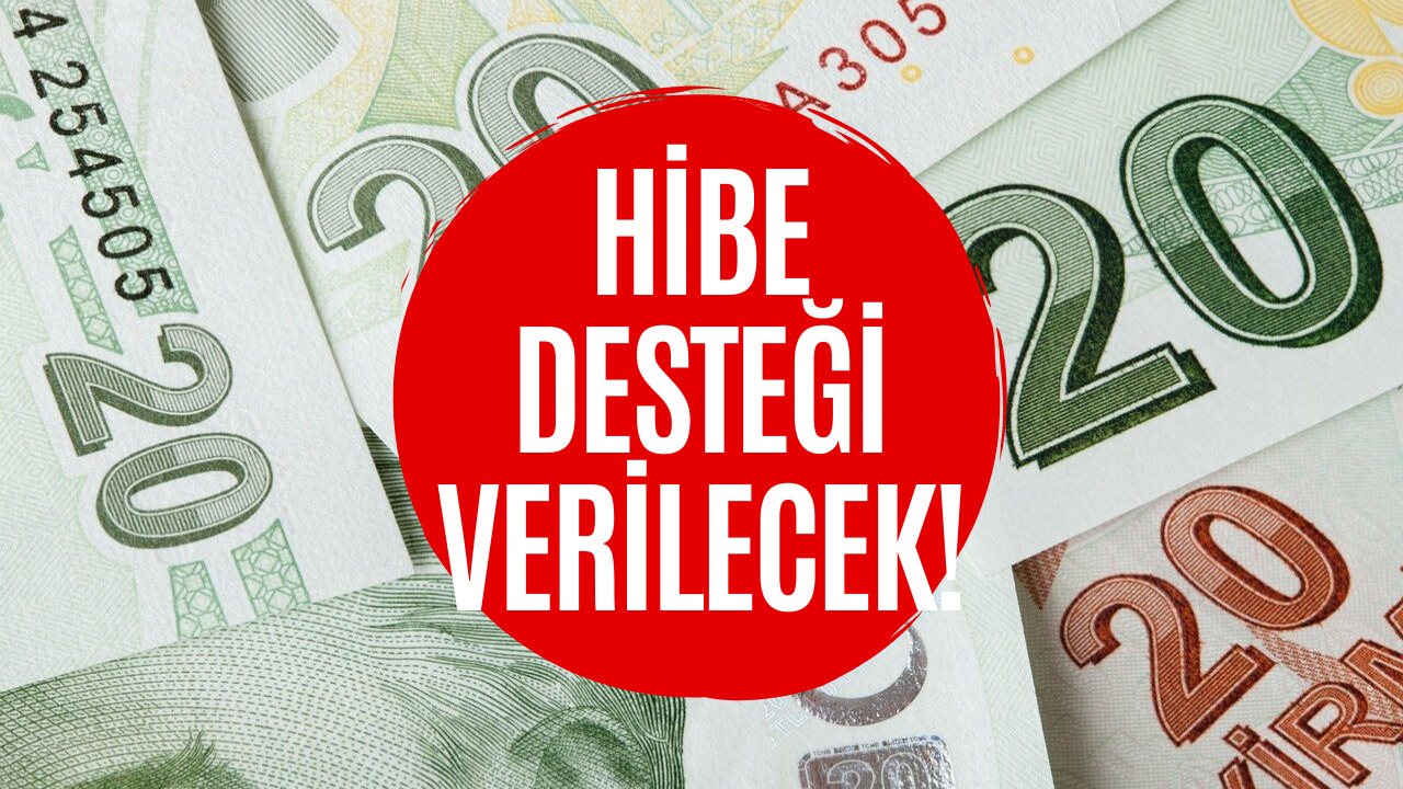 Devlet Hibe Desteği Verecek! 81 İlde Proje Başlıyor