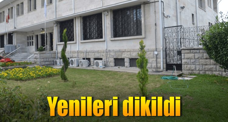 Yenileri Dikildi