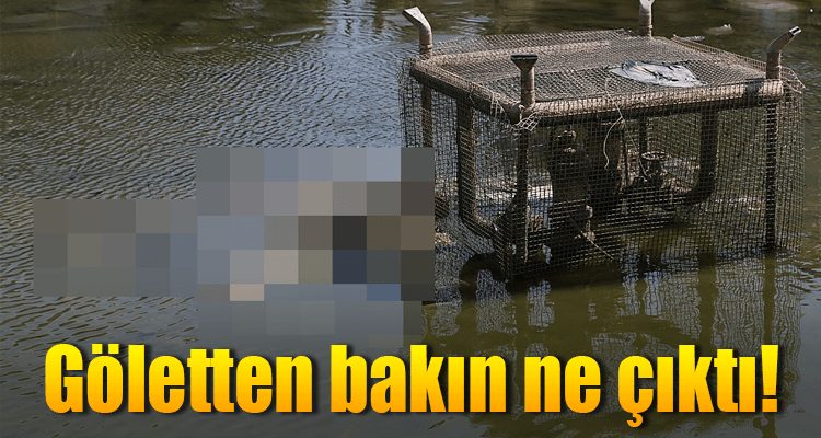 Göletten Bakın Ne Çıktı!