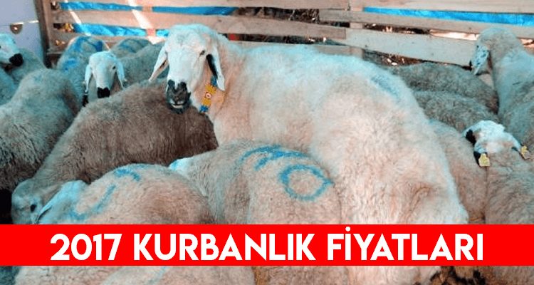 Kurbanlık Fiyatları Açıklandı