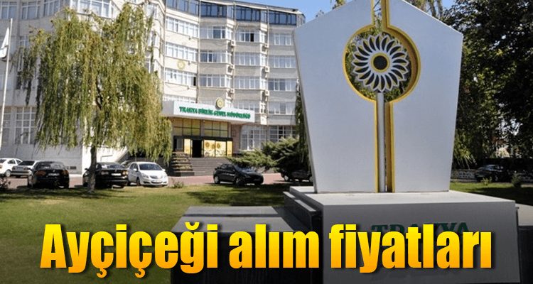 Ayçiçeği Alım Fiyatı Açıklandı