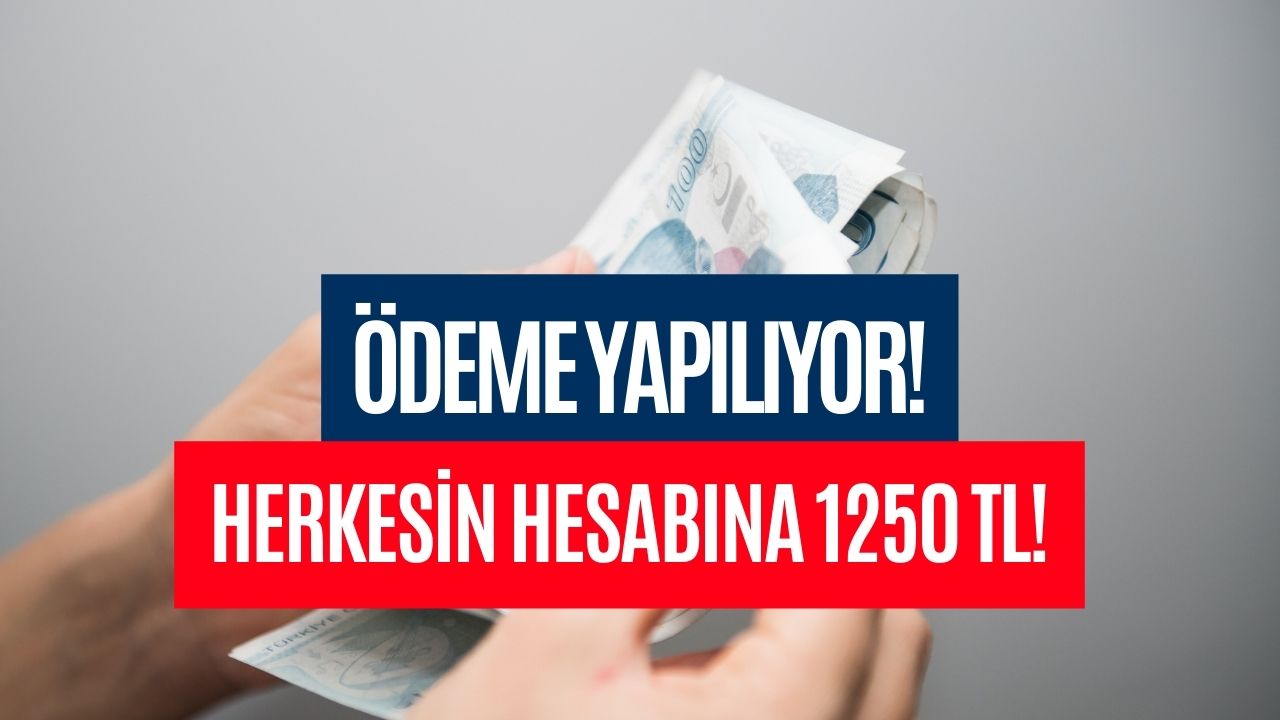 Nakit Para İhtiyacı Olanlar Dikkat! Mart Ayında Herkesin Hesabına 1250 TL Yatırılacak