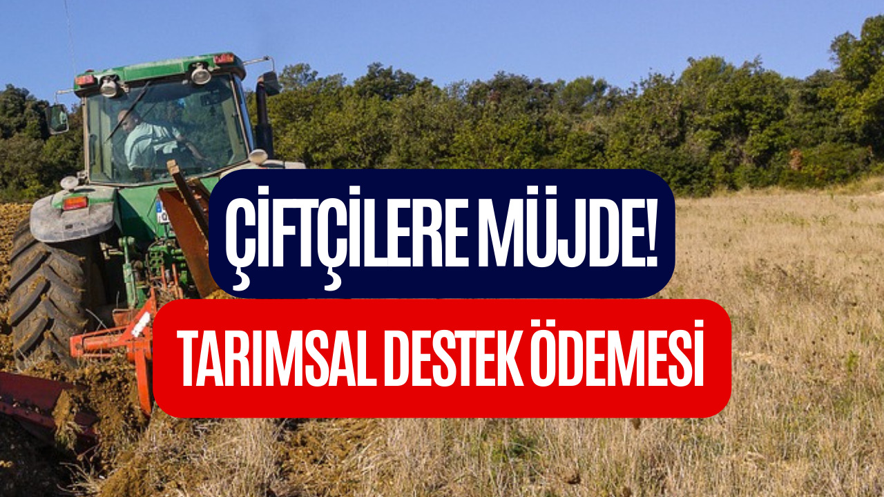 Çiftçilere Ödeme Müjdesi! Tarım Bakanlığı Ağustos Sonunda Ödemeyi Duyurdu