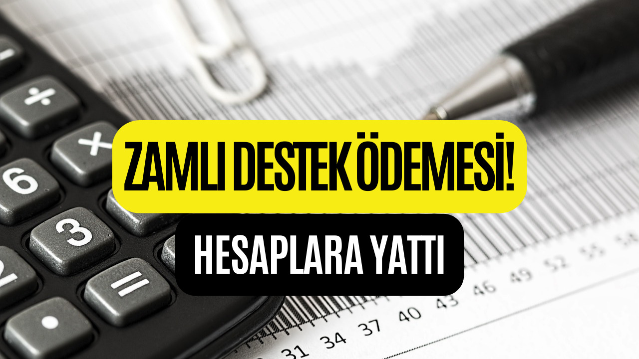 Yüzde 50 Zam Müjdesi Duyuruldu! Destek Ödemelerindeki Artış Açıklandı