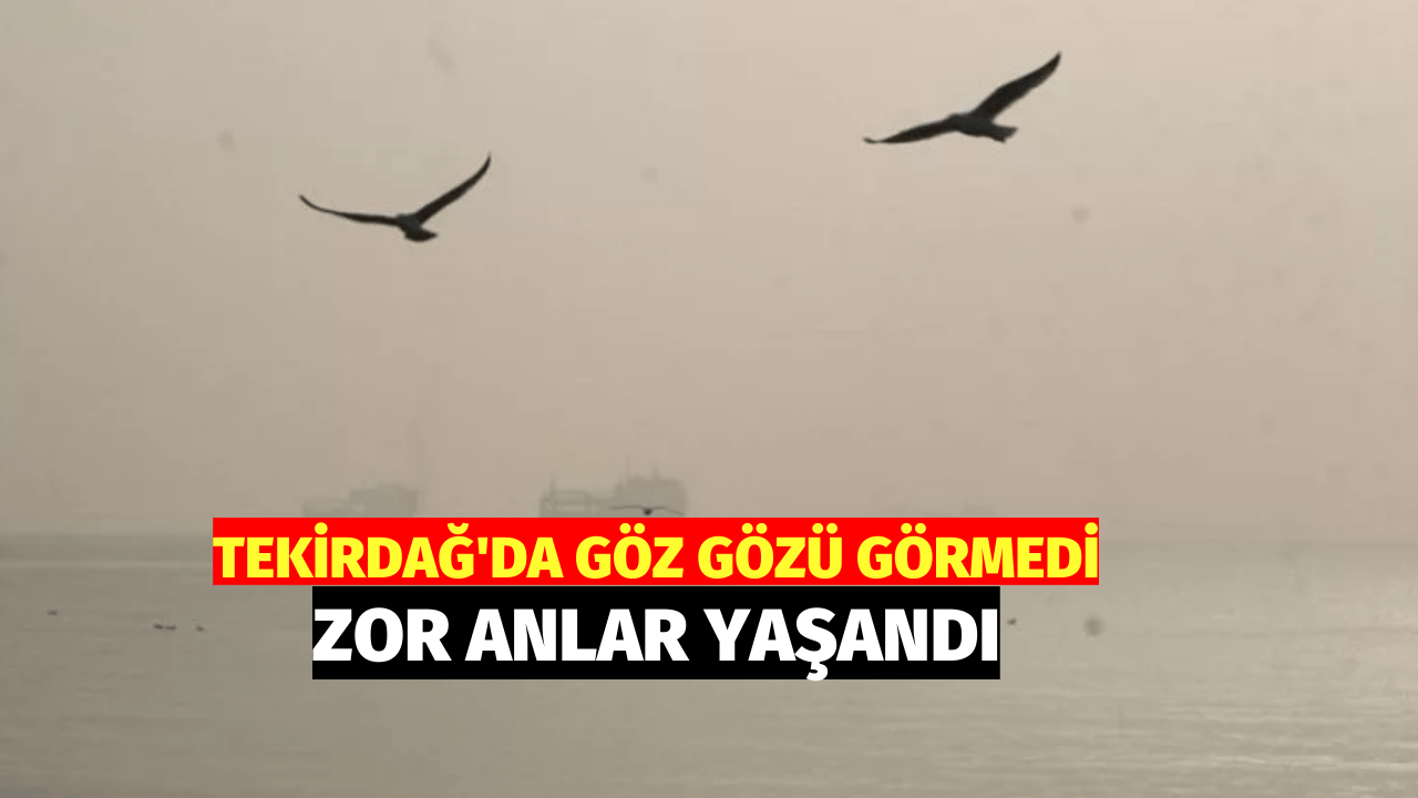 Tekirdağ'da Yoğun Sis Zor Anlar Yaşattı!