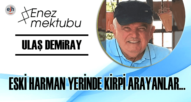 ESKİ HARMAN YERİNDE KİRPİ ARAYANLAR...