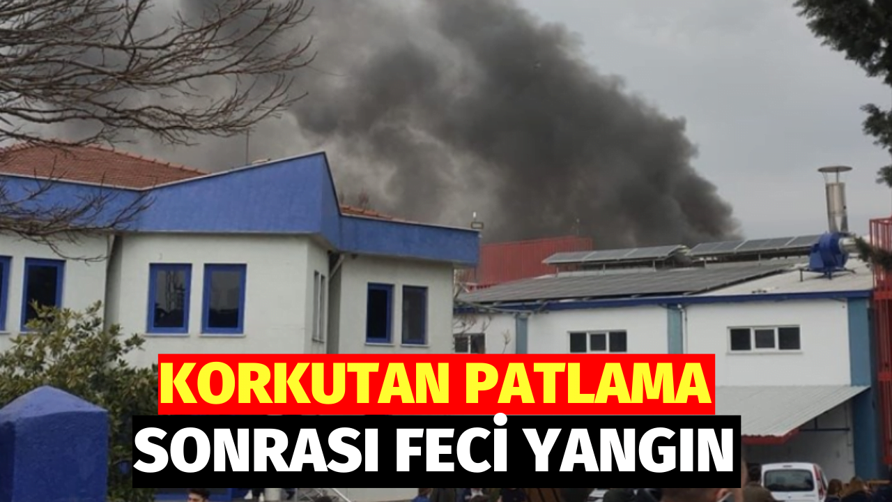 Tekirdağ'da Kimya Fabrikasında Yangın Çıktı