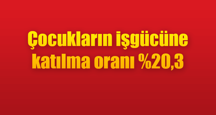 Çocukların İşgücüne Katılma Oranı %20,3