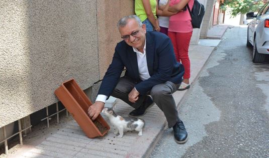 Başkan Helvacıoğlu'ndan Sokak Hayvanları Mesajı