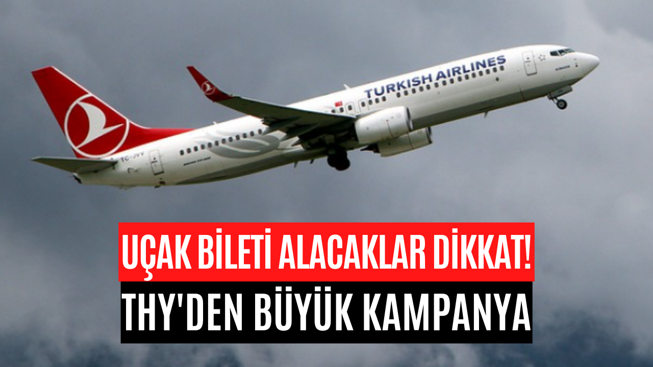 THY'den Depremzedelere Özel İş İlanı! THY İş İlanı Detaylarını Yayımladı