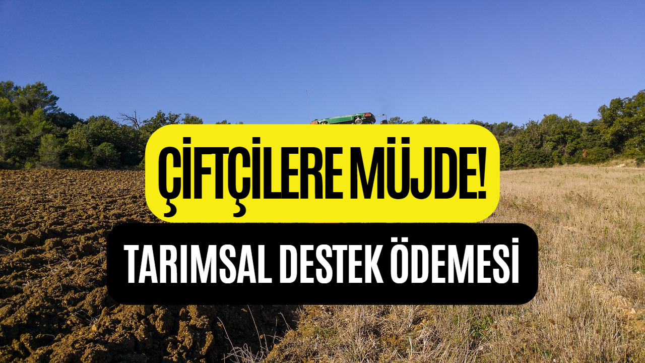 Tarımsal Destek Ödemesi 2023! Tarım ve Orman Bakanlığı Tarafından Duyuruldu