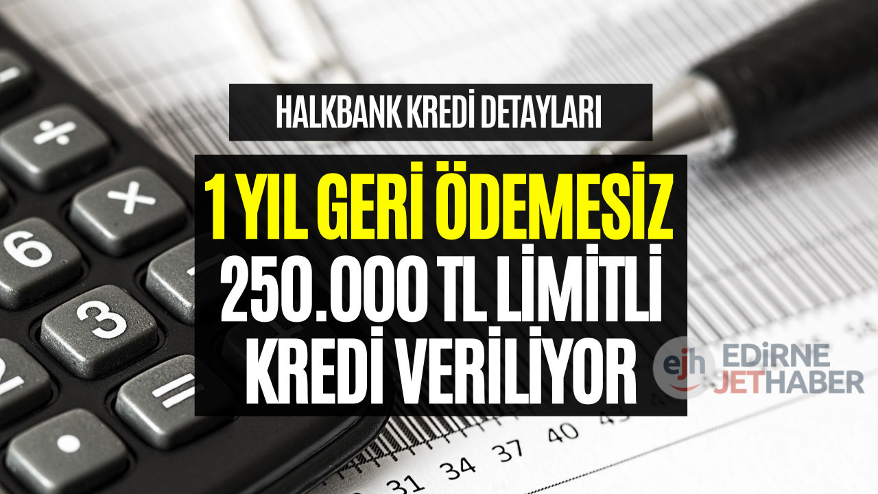 Halkbank 1 Yıl Geri Ödemesiz Kredi! Halk Girişimci Kredisinin Detayları