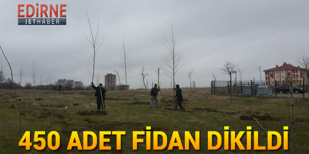 450 Adet Fidan Dikildi