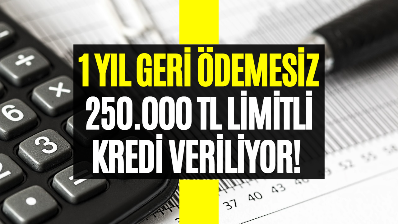 Halkbank 1 Yıl Geri Ödemesiz Kredi Veriyor! İş Kurmak ve İşini Büyütmek İsteyen Kişiler Dikkat