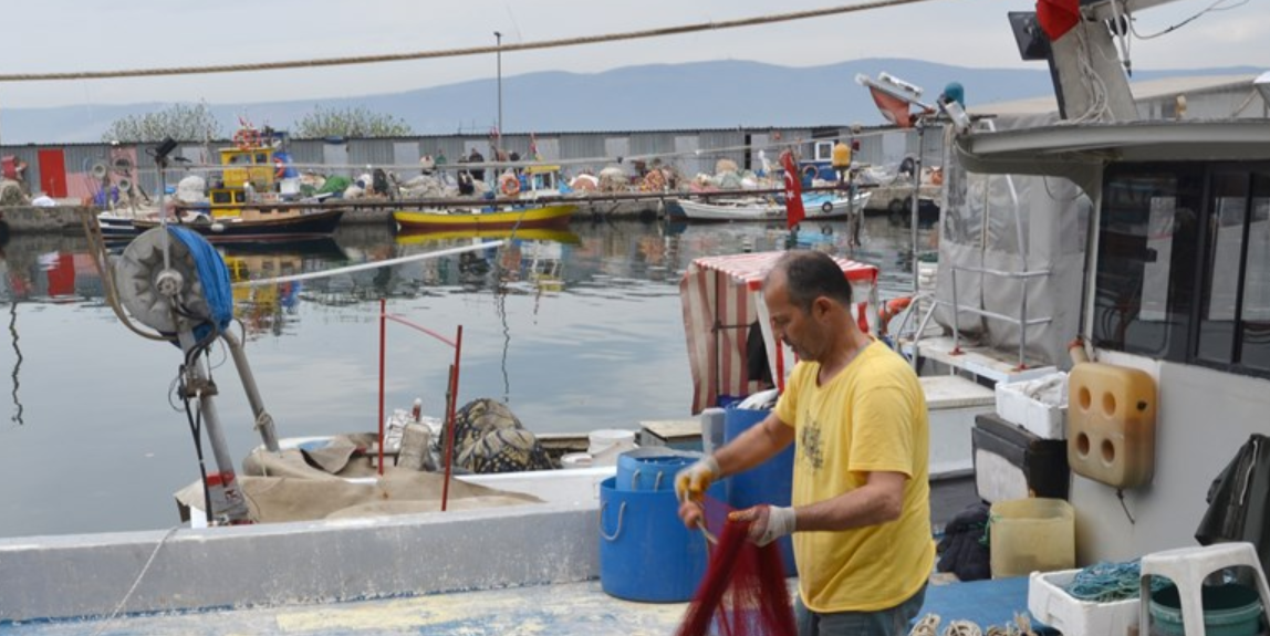 Marmara Denizi'nde Balıkçılar Sezondan Memnun