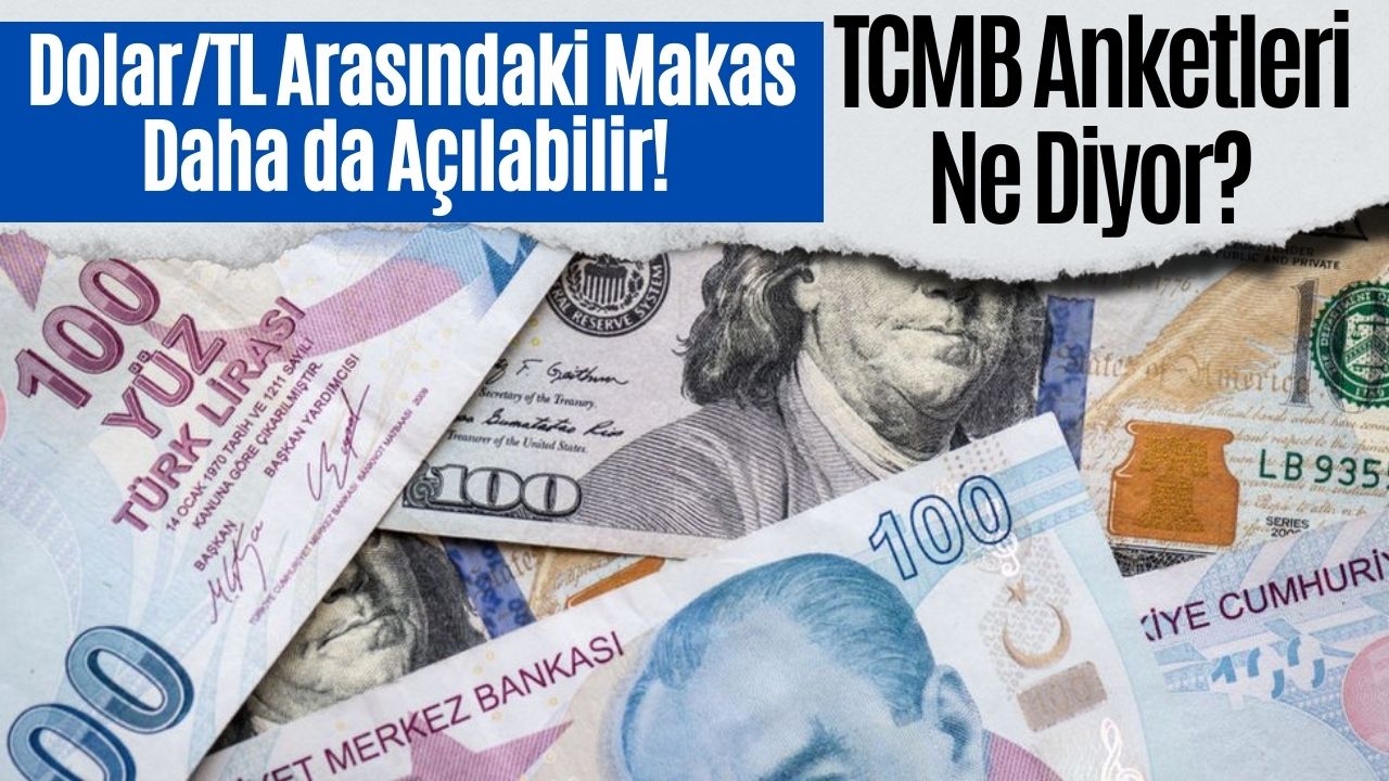 Merkez Bankası Anketlerinde Son Durum: Dolar / TL'de Uçuş Görünüyor!