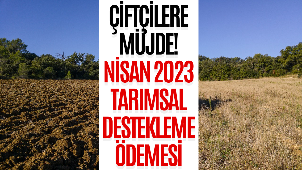 Çiftçilere Büyük Müjde! Tarımsal Destek Ödemesi Nisan 2023 Veriliyor