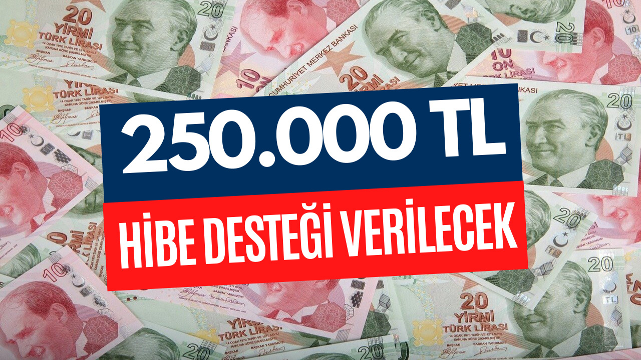 250.000 TL Geri Ödemesiz Veriliyor! Başvurular Sürüyor