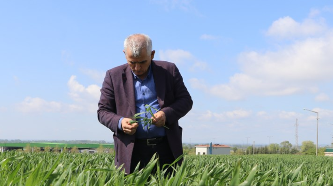 Prof. Dr. Kaya'dan Çiftçilere Pas Hastalığı Uyarısı