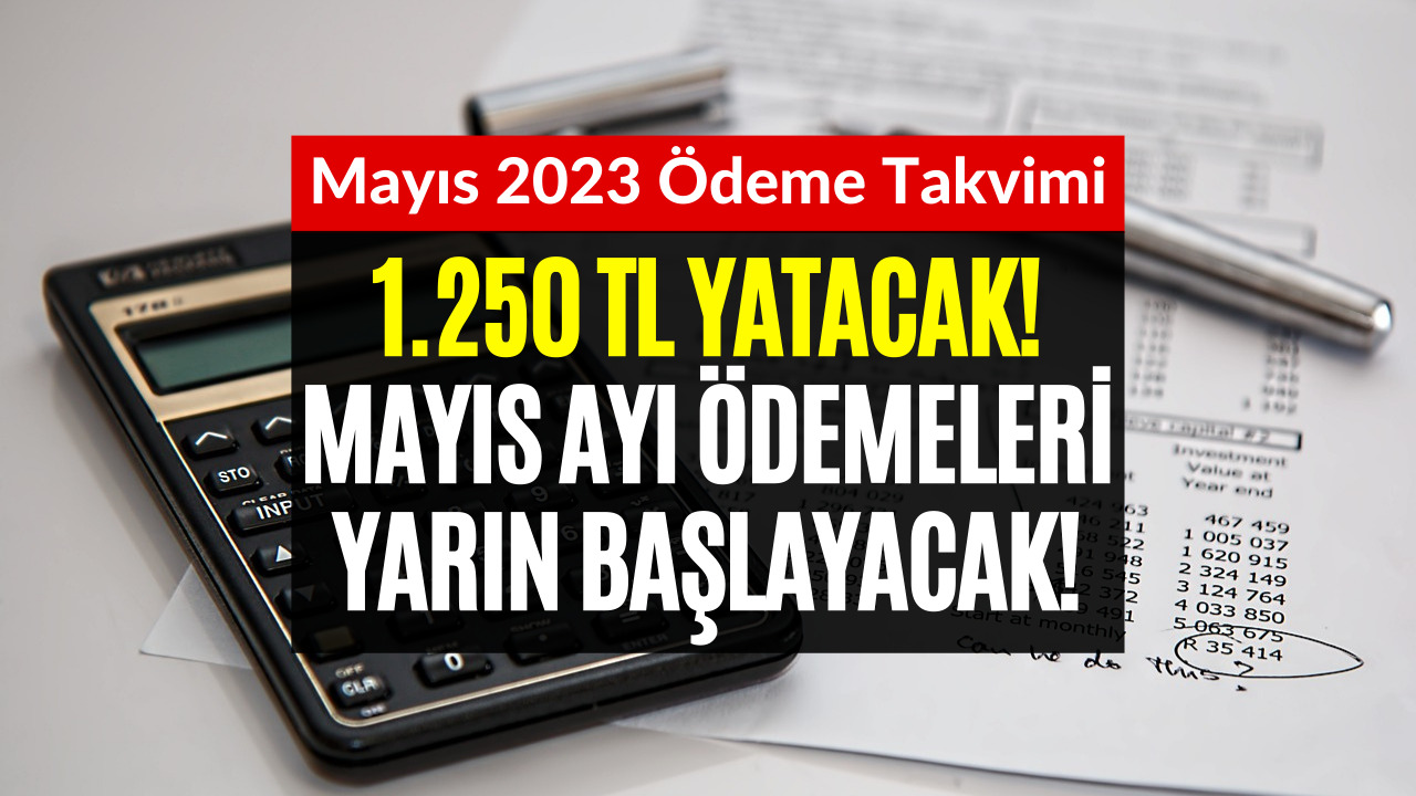 Yarın Hesaplara 1.250 TL Yatacak! TC Kimlik Numarasına Göre Mayıs Ayı Ödemesi Verilecek