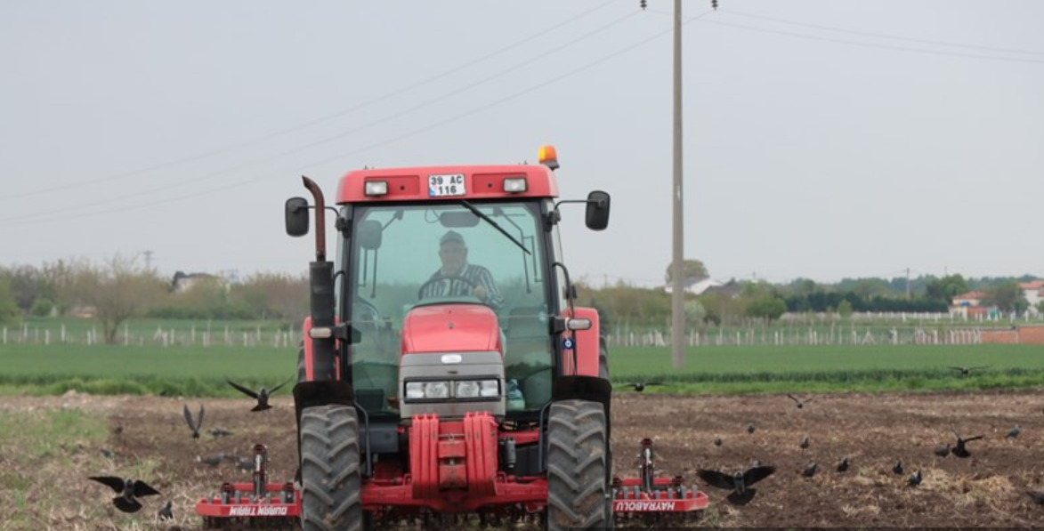 Trakya'da Ayçiçeği Ekimleri Yeniden Başladı