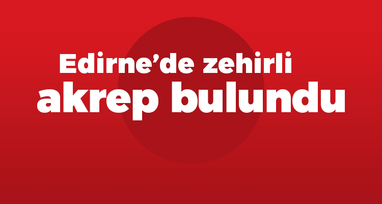 Edirne'de Zehirli Akrep Bulundu