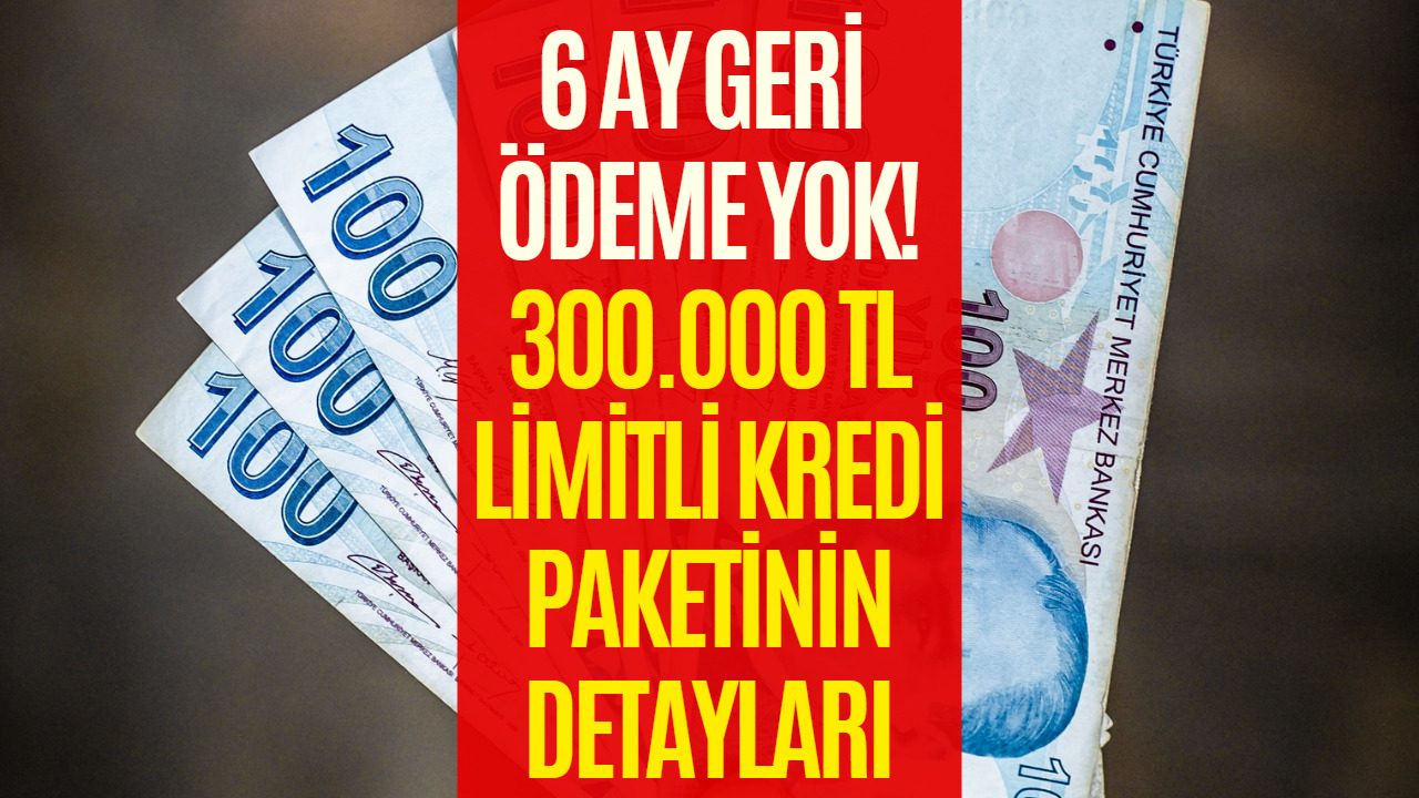 Kesenin Ağzı Açıldı! 6 Ay Geri Ödemesiz Olmak Üzere 300 Bin TL Limitli Kredi Veriliyor