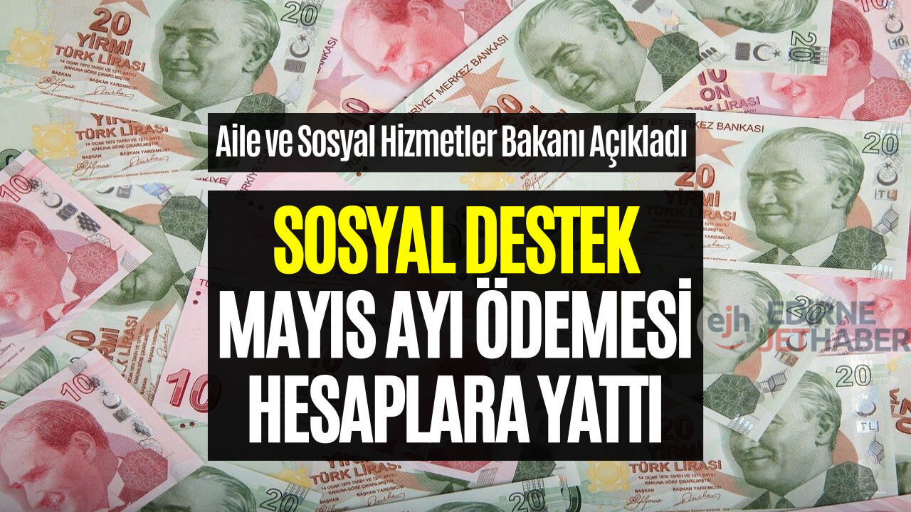 Aile ve Sosyal Hizmetler Bakanlığı Destek Ödemesi Verdi! Mayıs 2023 Sosyal Yardımlar Hesaplara Yattı