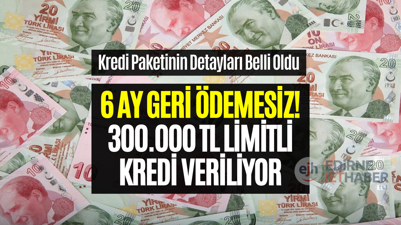 300 Bin TL Limitli Kredi Veriliyor! 6 Ay Geri Ödemesiz 36 Ay Vadeli Halkbank Kredi