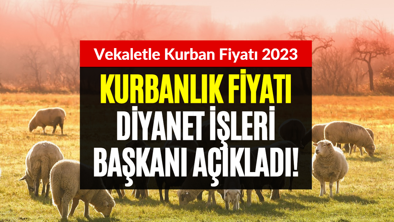 Kurban Bayramına Sayılı Haftalar Kaldı! Vekaletle Kurbanlık Fiyatları Belli Oldu