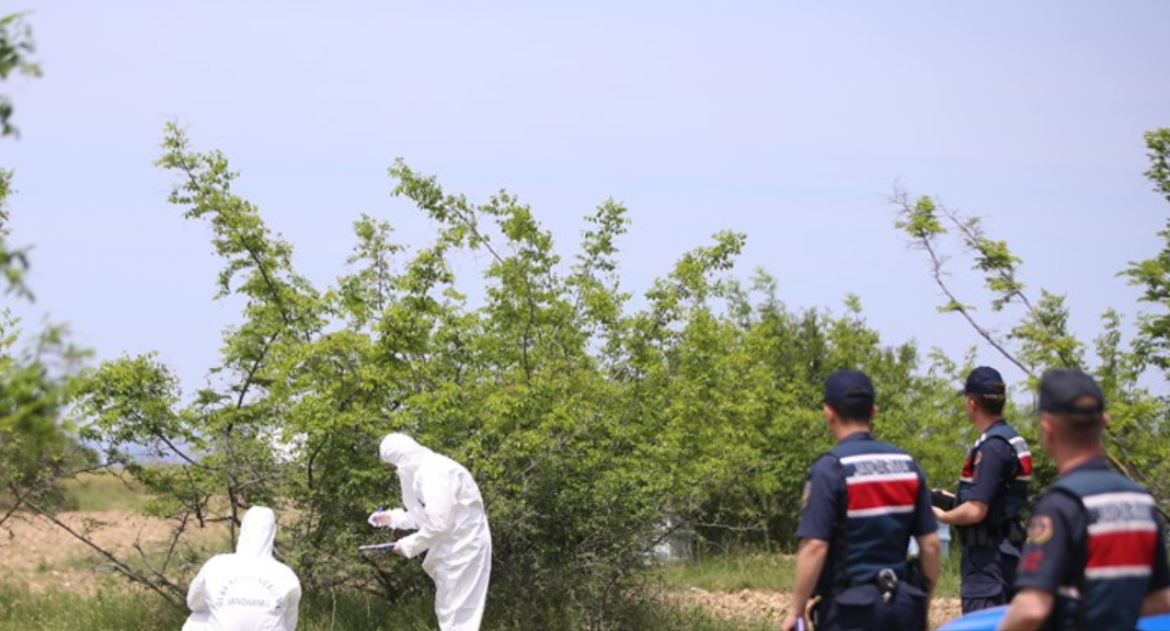 Kırklareli'ndeki Çalılıklarda Parçalanmış Ceset Bulundu