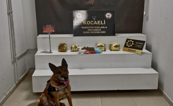 1 Kilo 200 Gram Esrar Ele Geçirildi: 2 Gözaltı