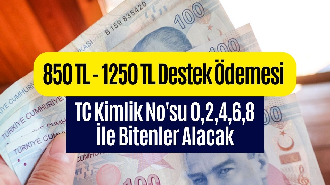 Bakanlık TC Kimlik No’ya Göre Hesaplara 1250 TL Yatıracak! 2023 Haziran Destek Ödemesi Geliyor