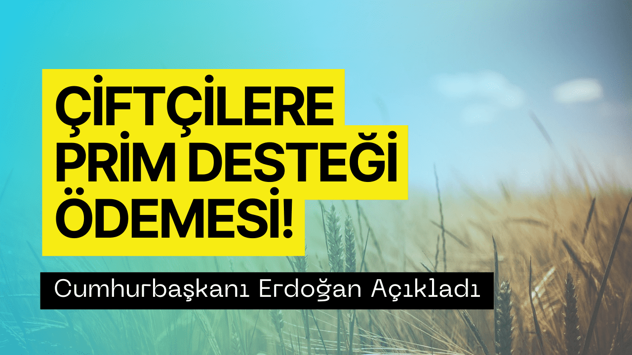 Çiftçilere Yapılacak Ödeme Bell Oldu! Ton Başına Ödeme Miktarını Cumhurbaşkanı Açıkladı