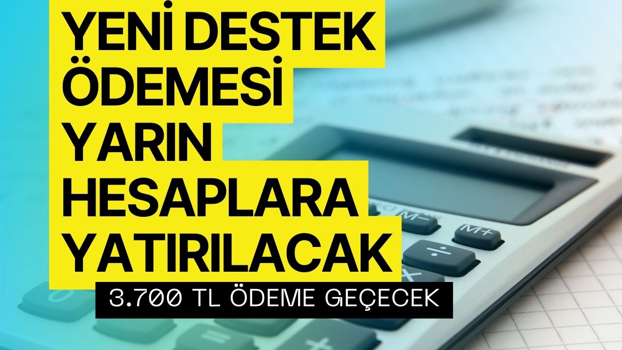 Çalışan Çalışmayan Herkese Yeni Destek Kapısı Aralandı! Yarın Hesaplarda Olacak Hemen Başvurun