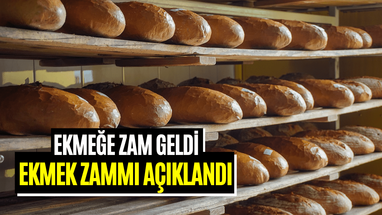 Haziran Ayında Bir İlde Daha Ekmek Zamlandı! 200 Gram Ekmek 5 TL Oldu